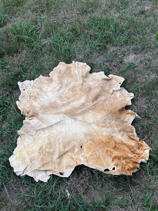 Brain-Tanned Pronghorn Buckskin, Medium, Hide #2
