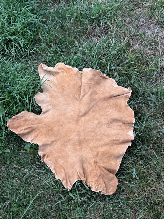 Brain-Tanned Buckskin, Small Deer, Hide #3
