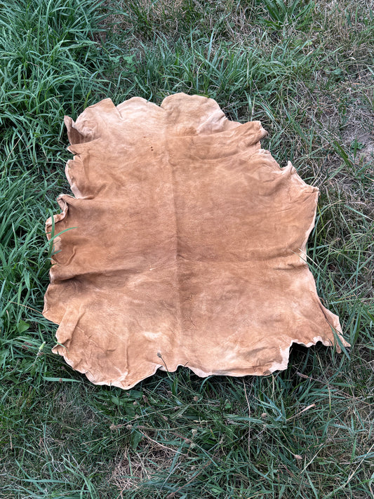 Brain-Tanned Pronghorn Buckskin, Small, Hide #4