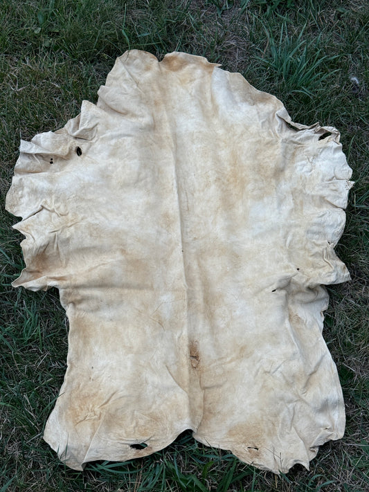 Brain-Tanned Pronghorn Buckskin, Medium, Hide #5