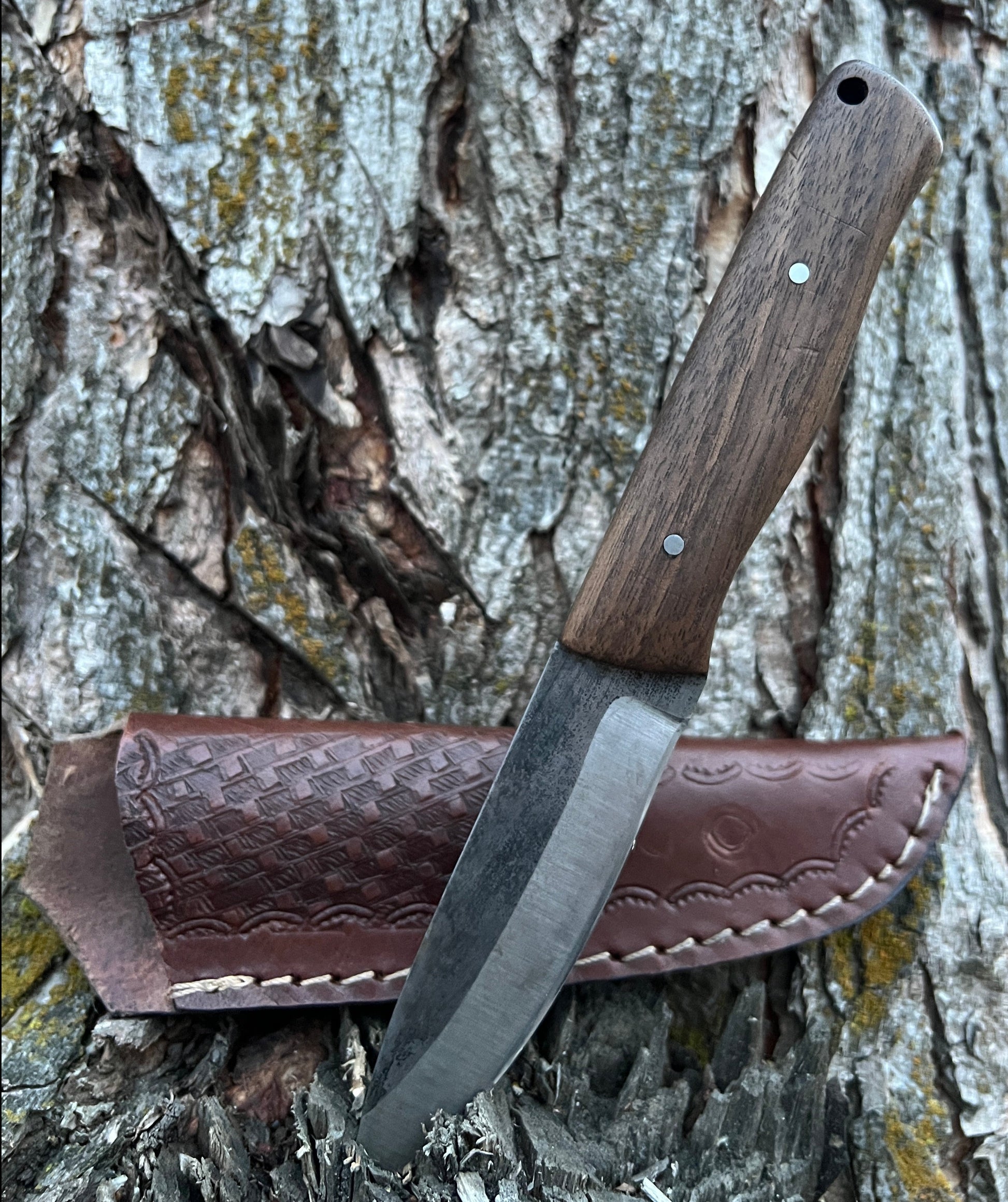 Survival knife on tree stump with leather sheath
