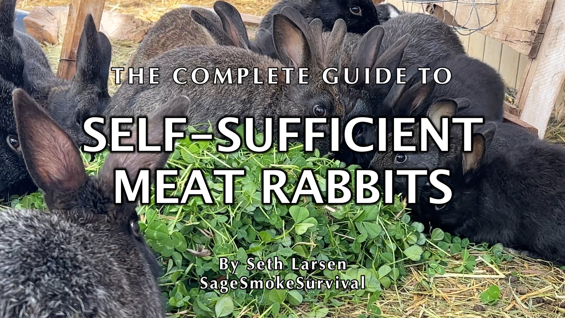 The Complete Guide to Self-Sufficient Meat Rabbits video course – Sage ...